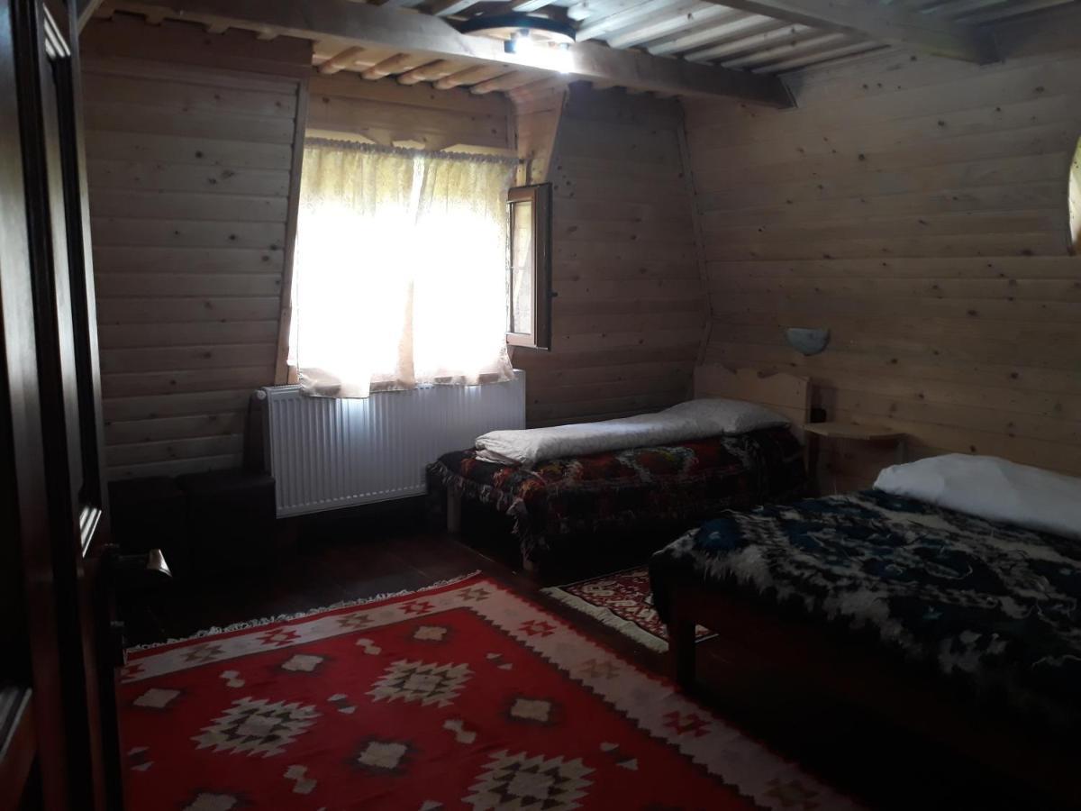 Pensiunea La Gorgan Ваду Изей Екстериор снимка